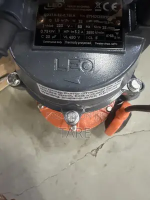 Leo Submersible Pump