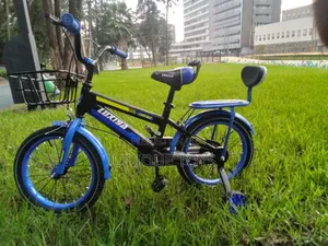 Luxiya 16-Inch Kids' Bicycle