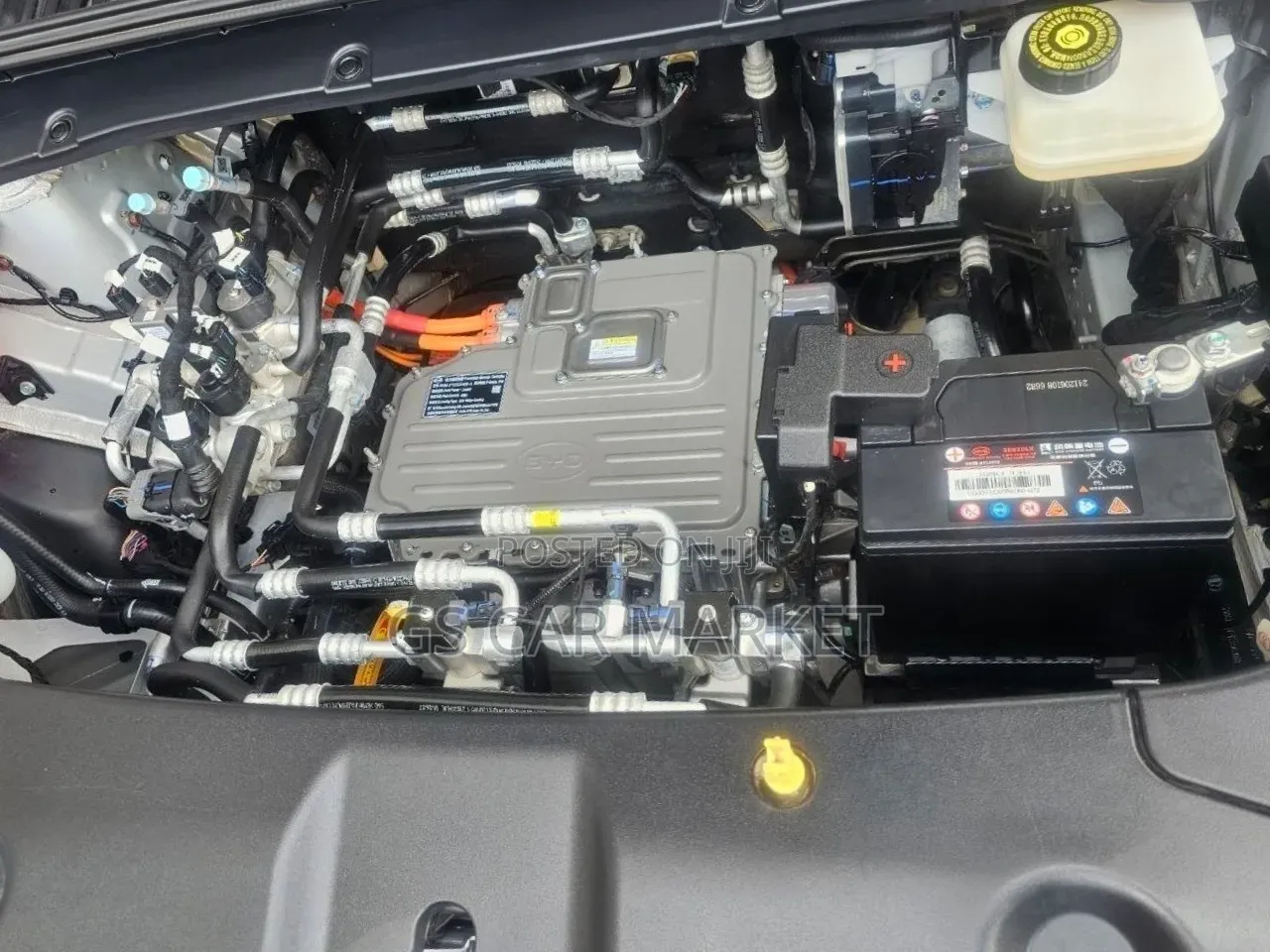 BYD Yuan Up 45 kWh FWD 2024 Ivory