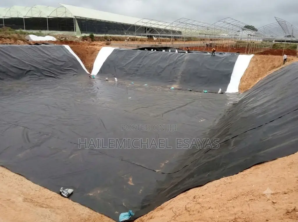 Geomembrane