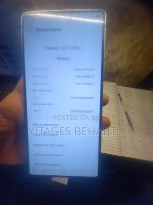 Samsung Galaxy S25 Ultra 256 GB Gray