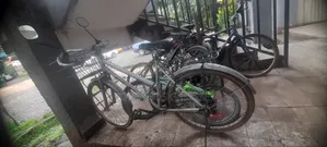 Bicycles Or