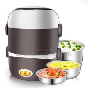 Portable Electric Lunch Box