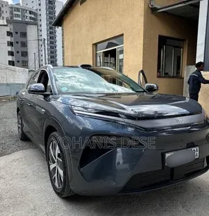 BYD Tang DM-i 2025 Blue