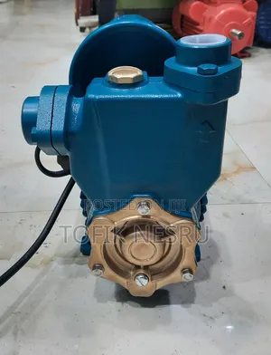 Leo Water Pump With Control Pooster Switch