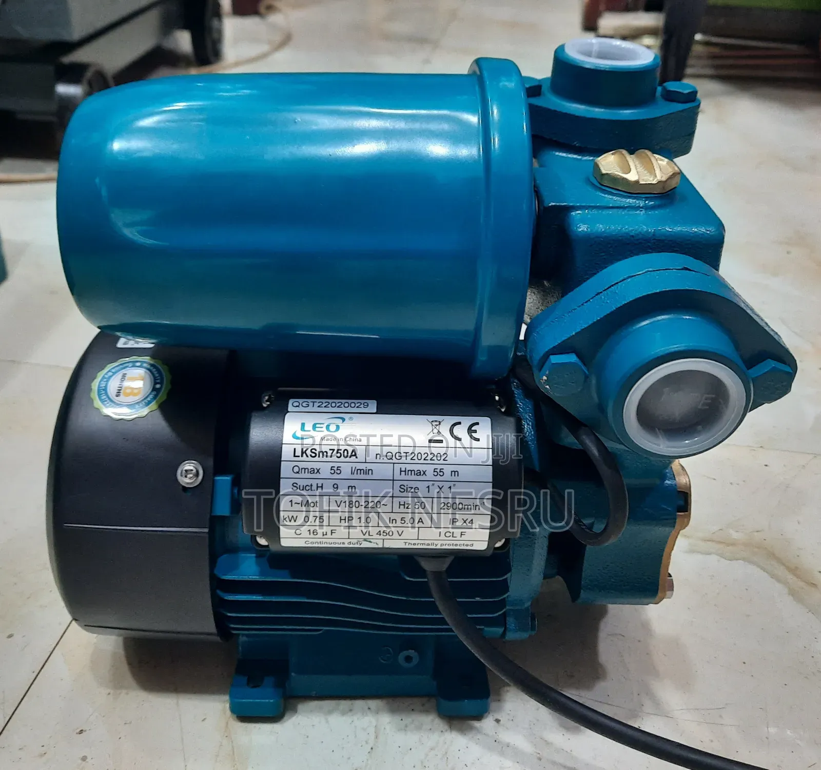 Leo Water Pump With Control Pooster Switch