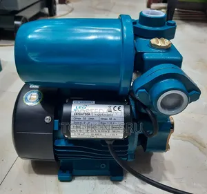 Leo Water Pump With Control Pooster Switch