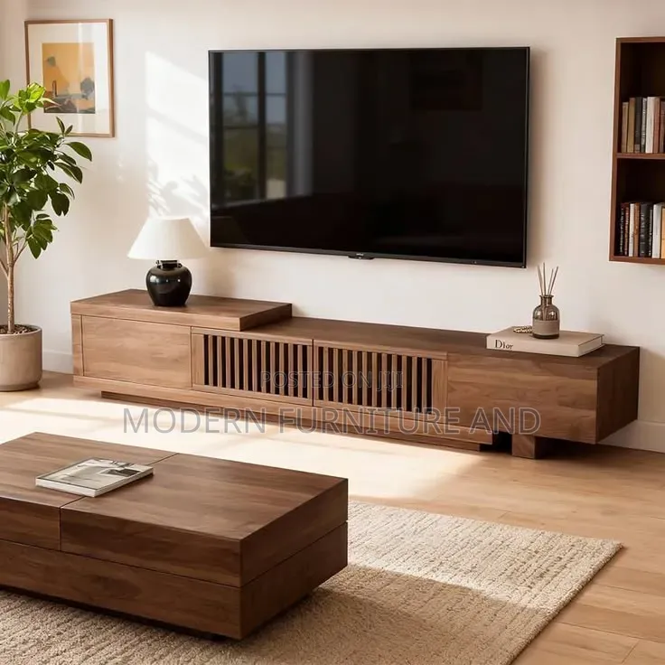 Modern and Minimalist TV Stands