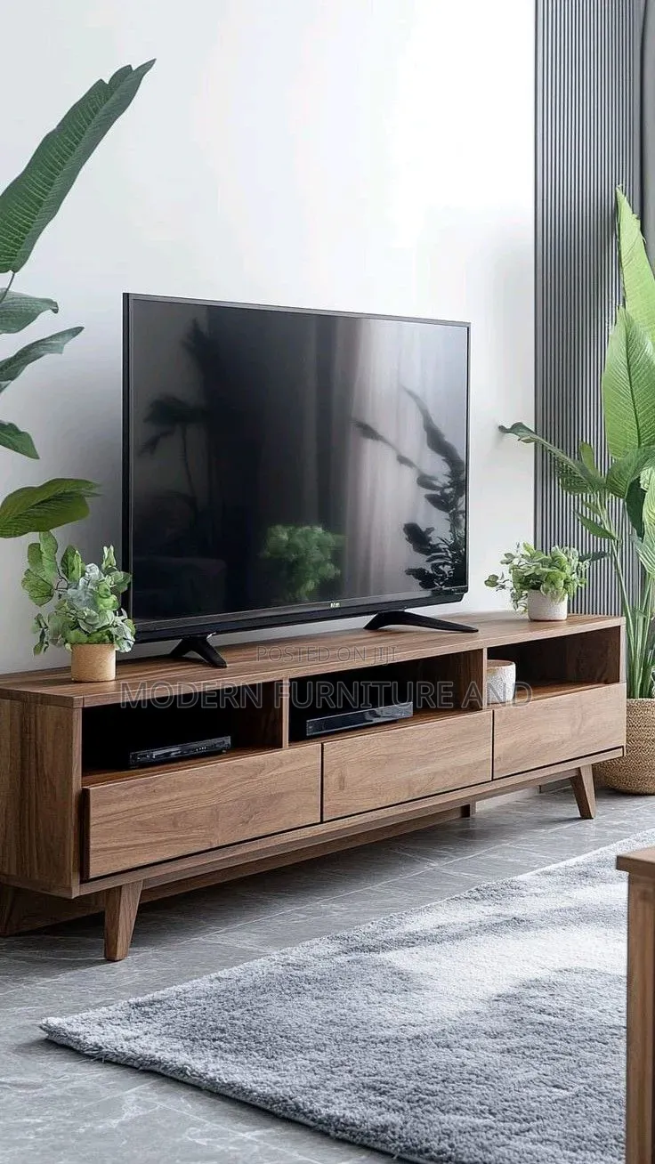 Modern and Minimalist TV Stands