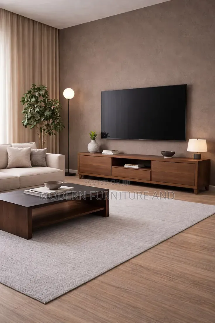 Modern and Minimalist TV Stands