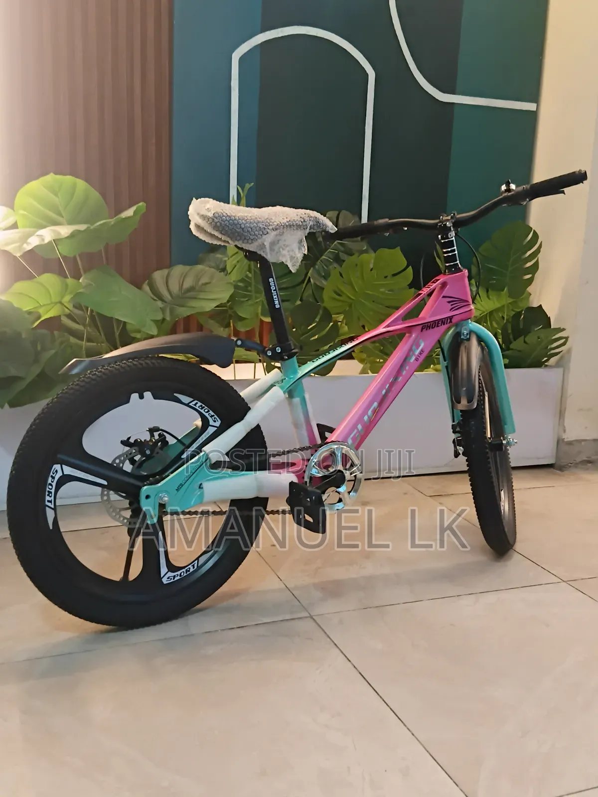 Pesronal Bike