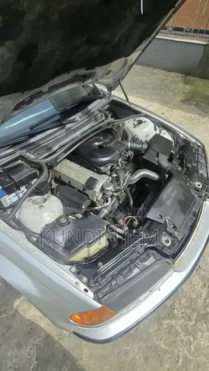 BMW 318i 2001 Silver