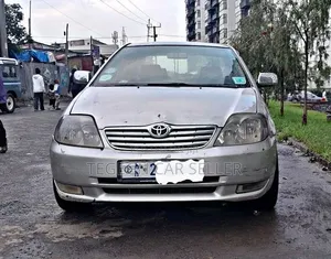 Toyota Corolla 2001 Gray