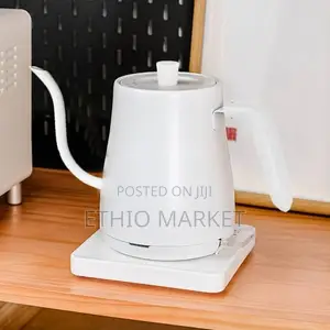 1.0L Stainless Steel Electric Gooseneck Kettle
