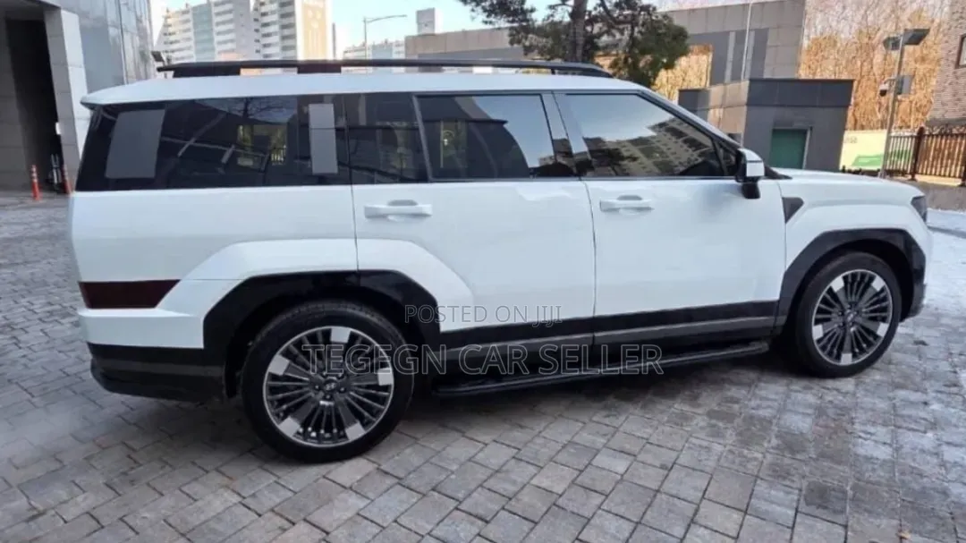 Hyundai Santa Fe 2024 White