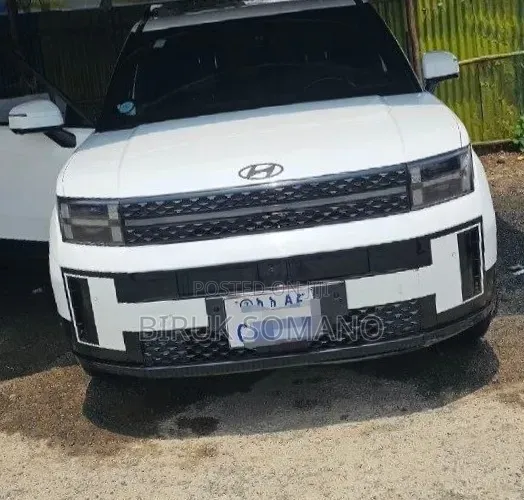 Hyundai Santa Fe 2024