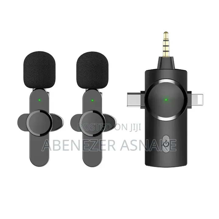 3 in 1 Wireless Microphone