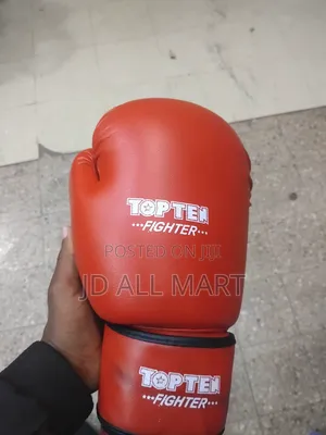 Top Ten Point Fighter Gloves