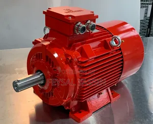 Electrical Motor 30hp