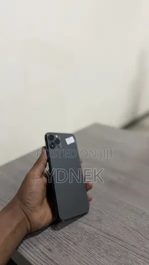 Apple iPhone 11 Pro Max 256 GB Gray