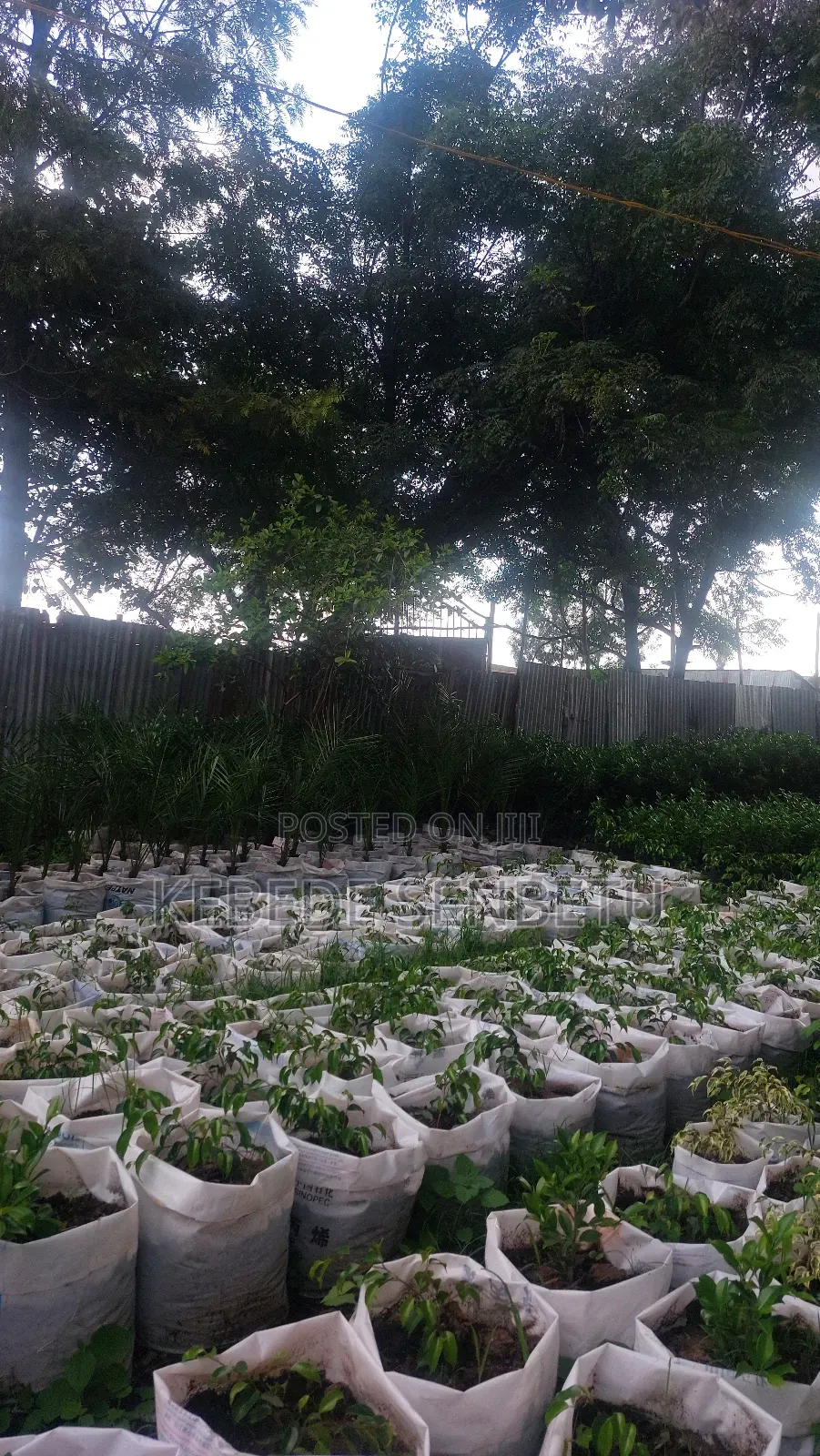 1bdrm House in Oromia, East Shewa for sale