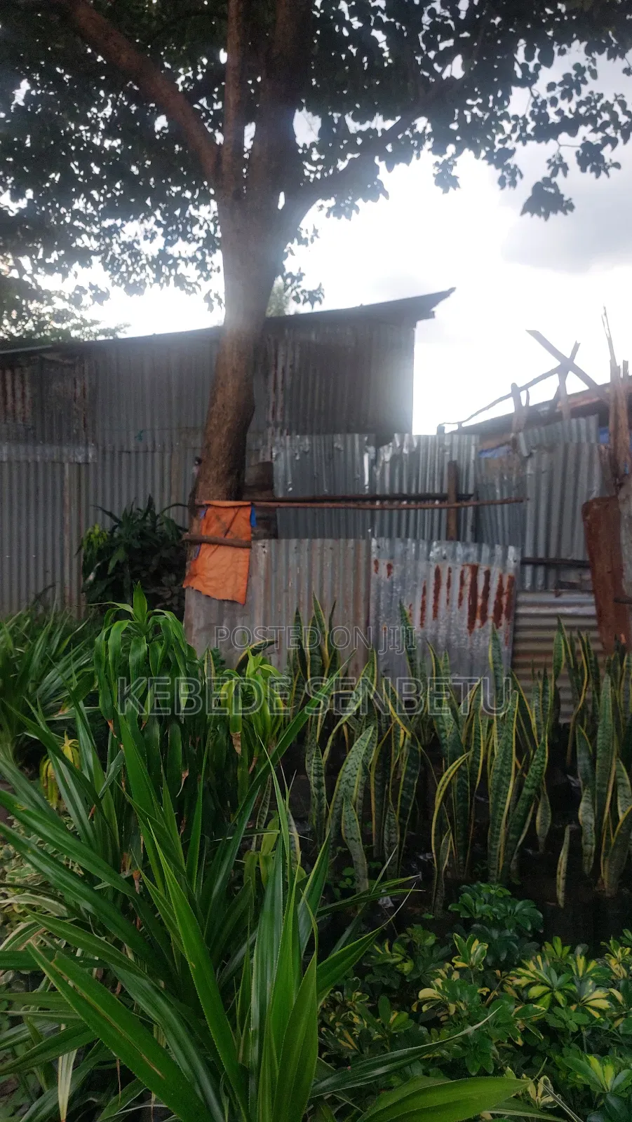 1bdrm House in Oromia, East Shewa for sale