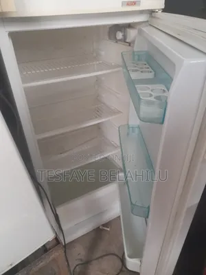 Frost System 300L Frig
