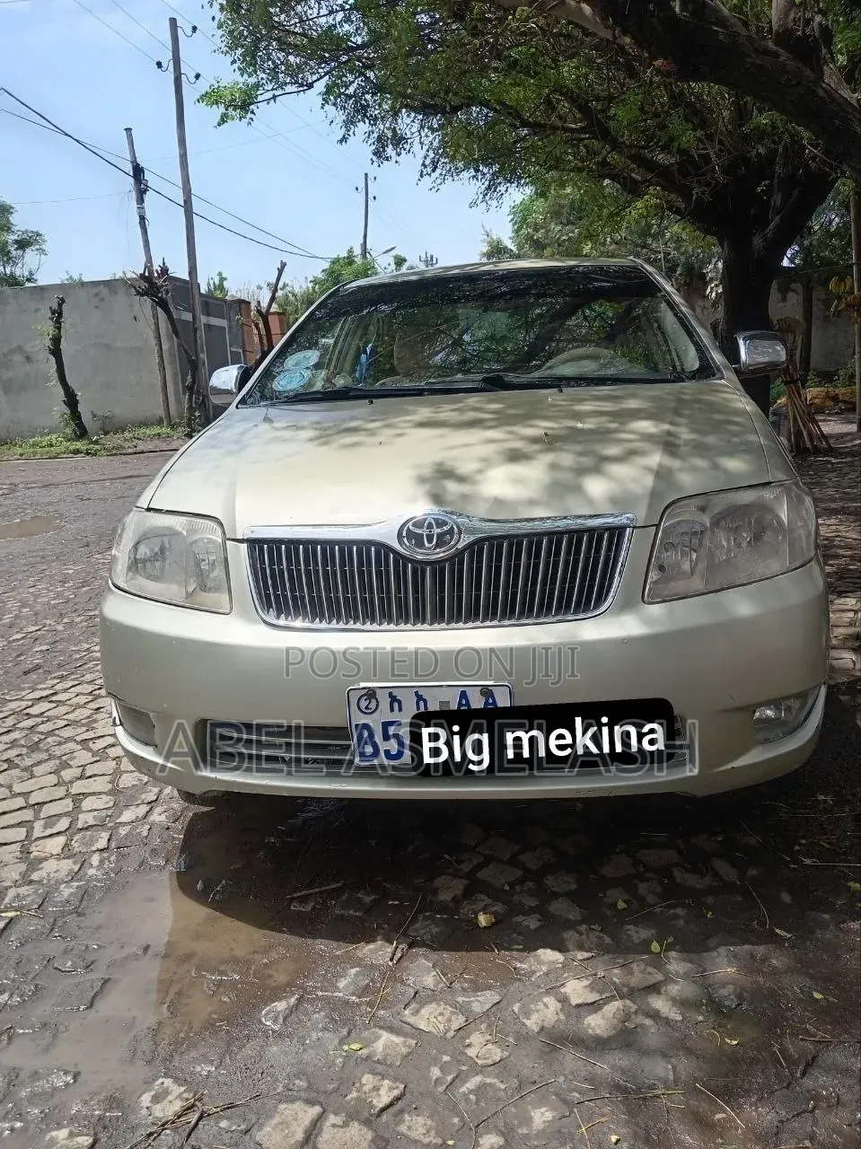 Toyota Corolla 2006 Gray