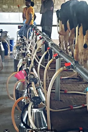 Milking Machine