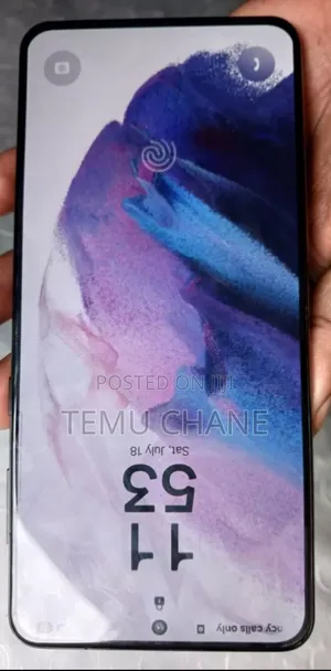 Samsung Galaxy S21+ 5G 128 GB Gray