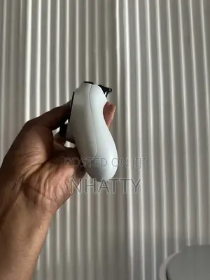 PS 4 Controller