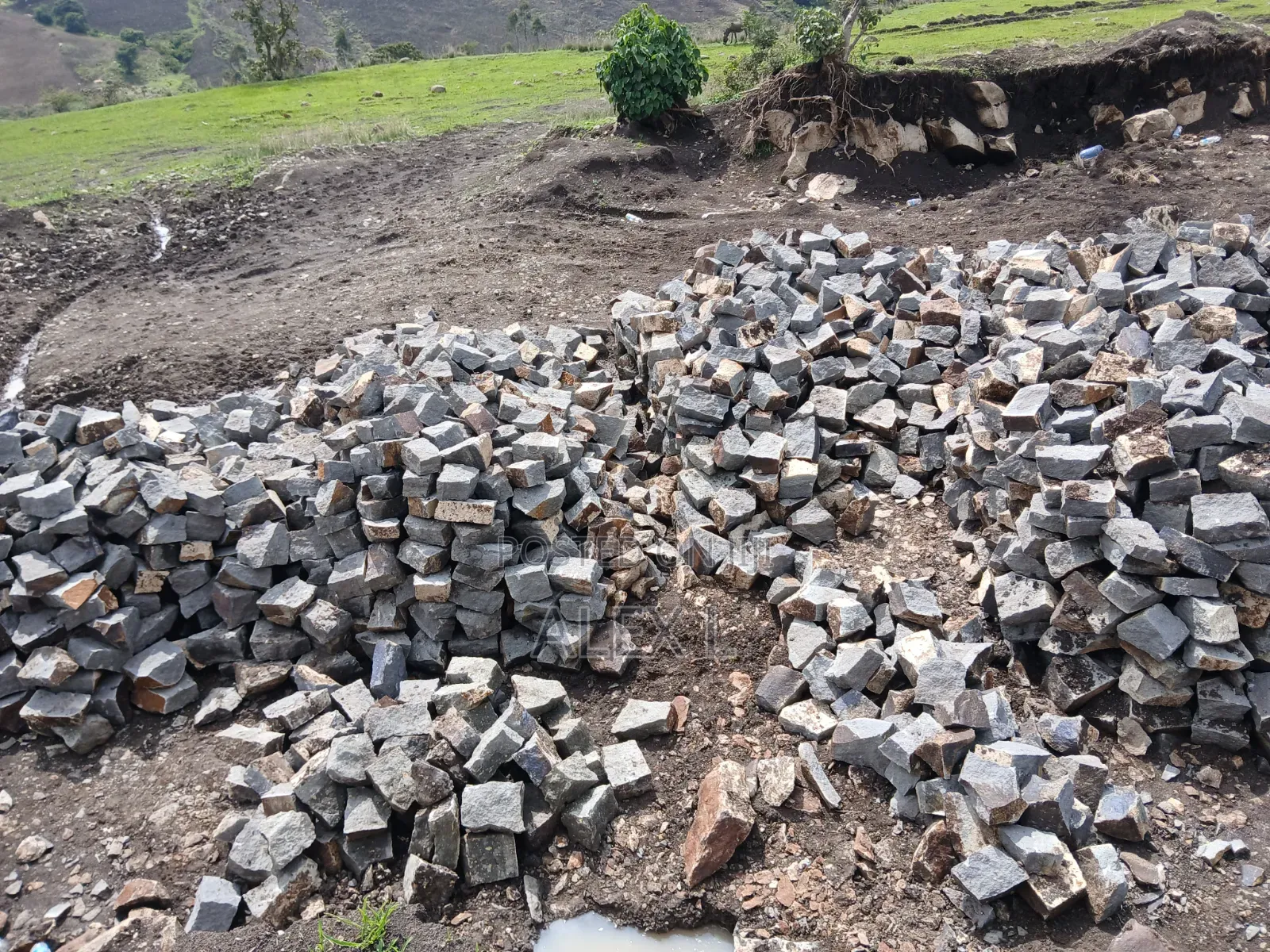 Stone Supplier
