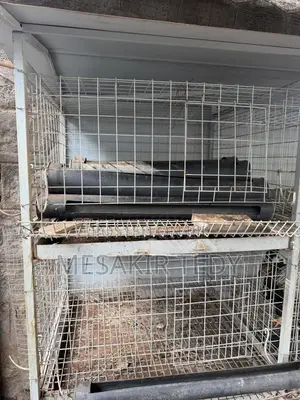 Chicken Cage