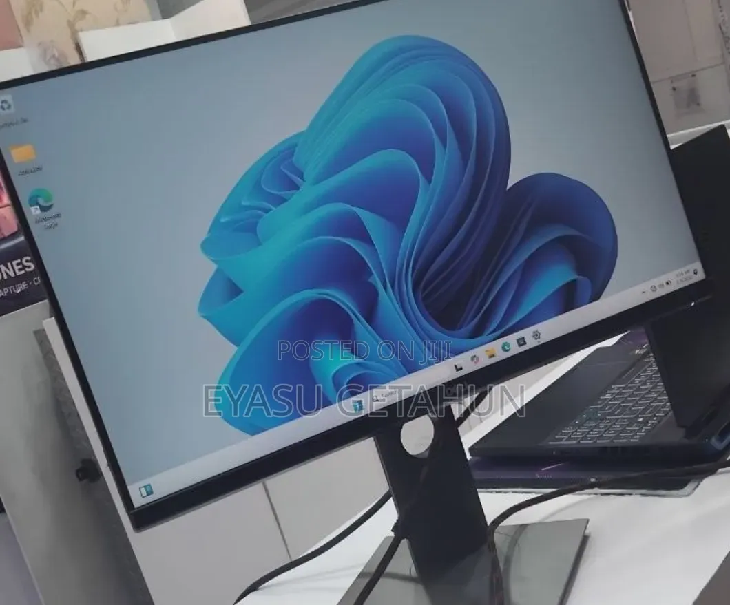 Dell Monetor 24 Inch