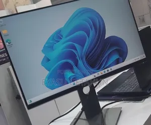 Dell Monetor 24 Inch