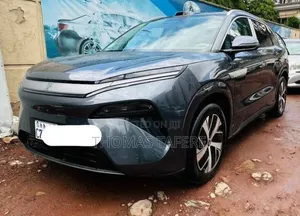 BYD Tang EV 2025 Gray