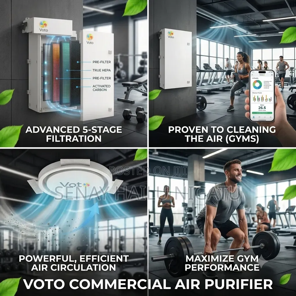 Electric Air Purifier