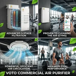 Electric Air Purifier