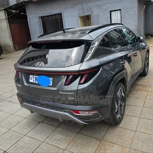 Hyundai Tucson Limited 2021 Gray