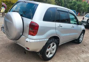 Toyota RAV4 2001 Silver