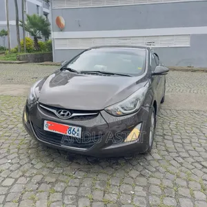 Hyundai Elantra 2014 Brown