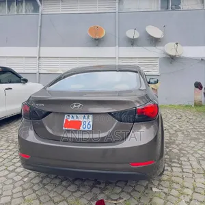 Hyundai Elantra 2014 Brown