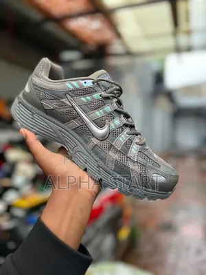 Nike P6000 Seliver Color High Master Quality Sneakers Made in Vietnam