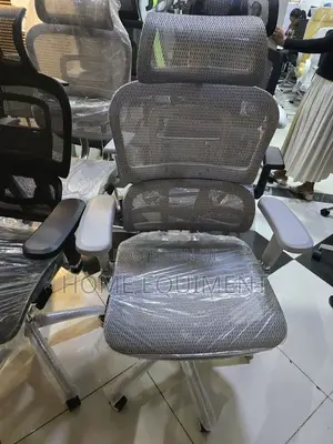 Fulle Meshe Erigonomice Chairs