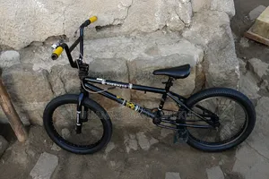 Exercise Bicycles