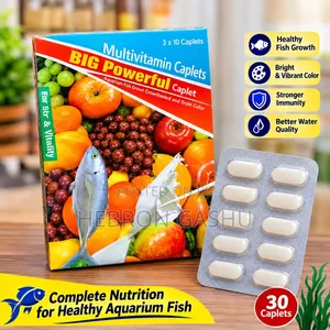 BIG Powerful Multivitamin Caplets 30 Tablets – የብዙ ቫይታሚን ካፕሌቶች