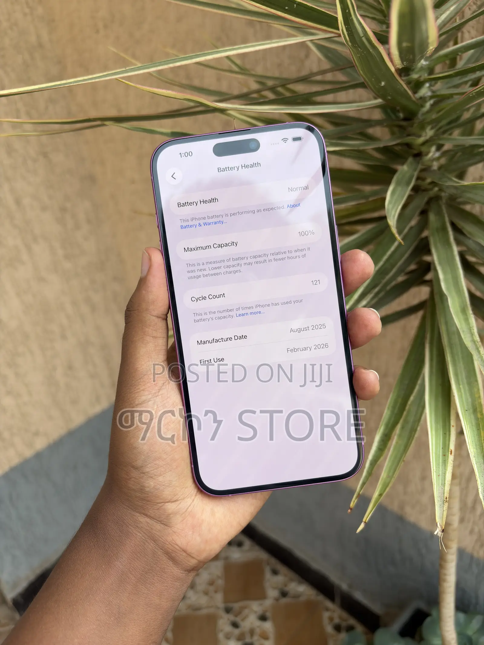 New Apple iPhone 16 Plus 128 GB Pink