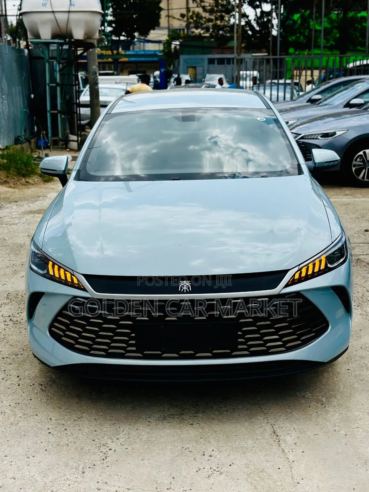 New BYD Qin Plus DM-i 2025 Blue