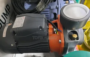 Surface Water Pump Leo