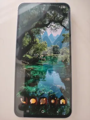 Samsung Galaxy A55 256 GB